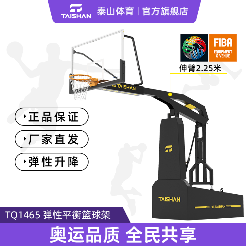 弹性平衡篮球架TQ1465